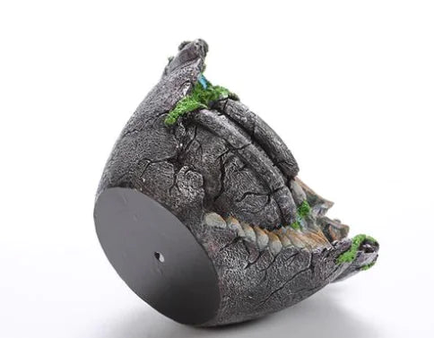 Succulent Planter for Home Gardening (Assorted Pots)